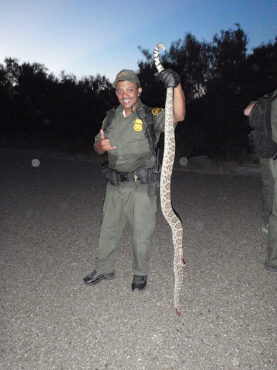 Border Patrol USBP miscellaneous modern agents snakes