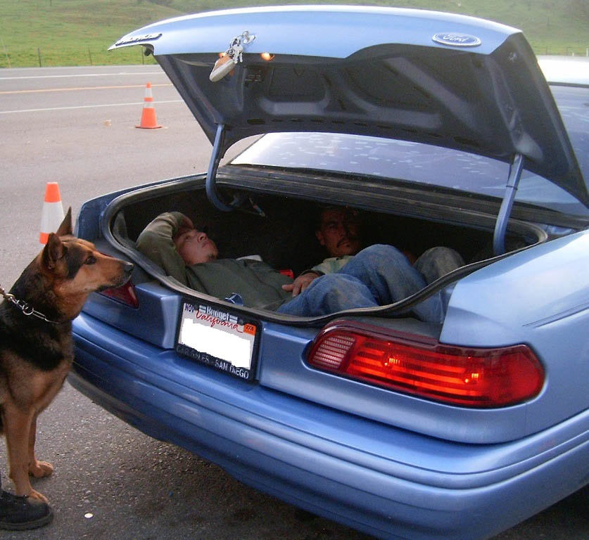 Border Patrol USBP miscellaneous modern alien hidden in truck canine k9 dog