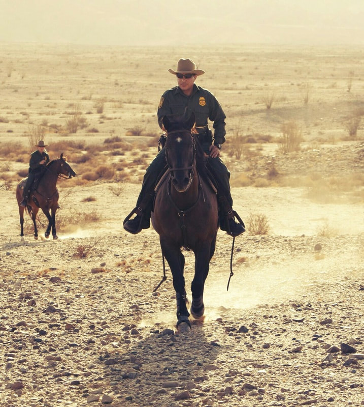 Border Patrol USBP miscellaneous modern horse patrol