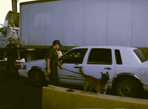 Border Patrol USBP miscellaneous modern canine k9 agent at a checkpoint
