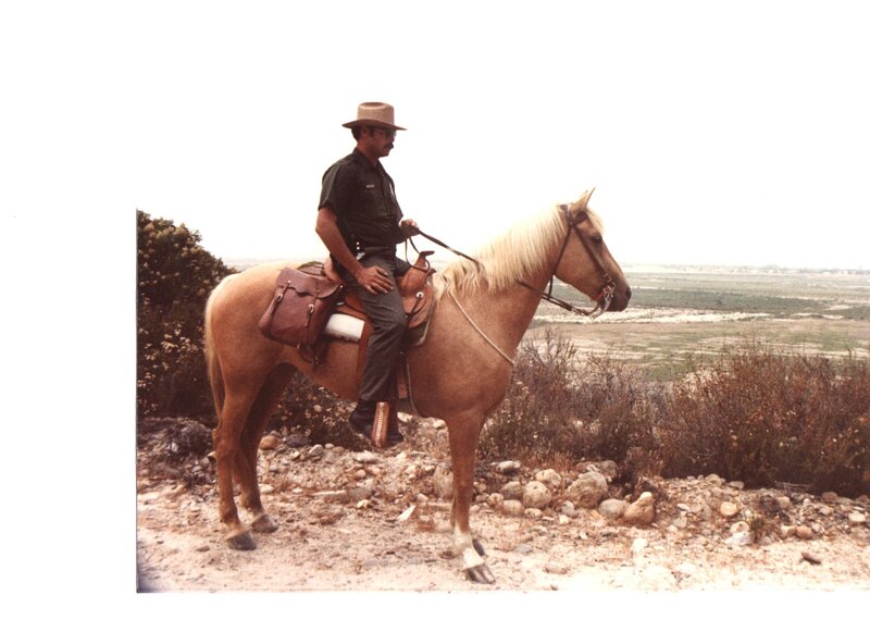 Border Patrol USBP CBP  horse patrol