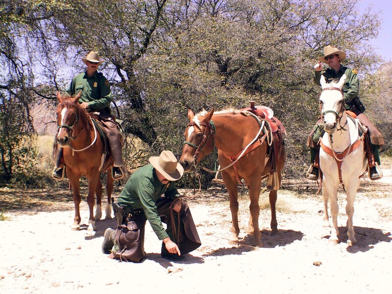 Border Patrol USBP miscellaneous modern horse patrol several agents