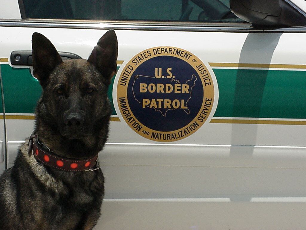 Border Patrol USBP CBP  k-9 k9