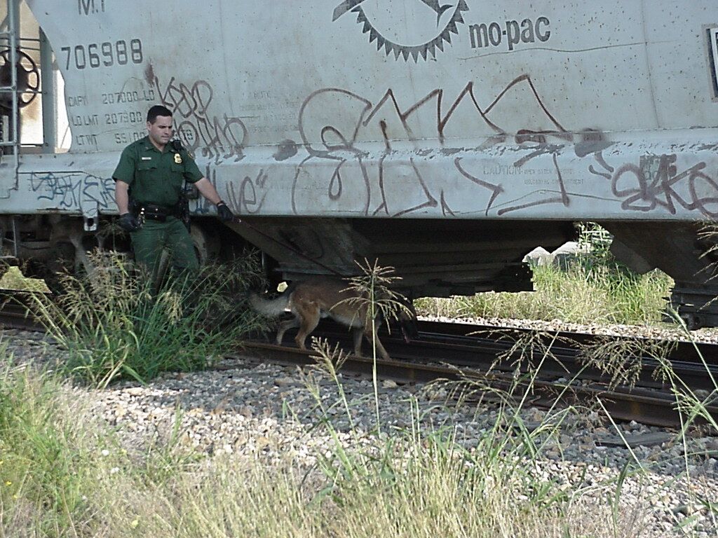 Border Patrol USBP CBP  train check