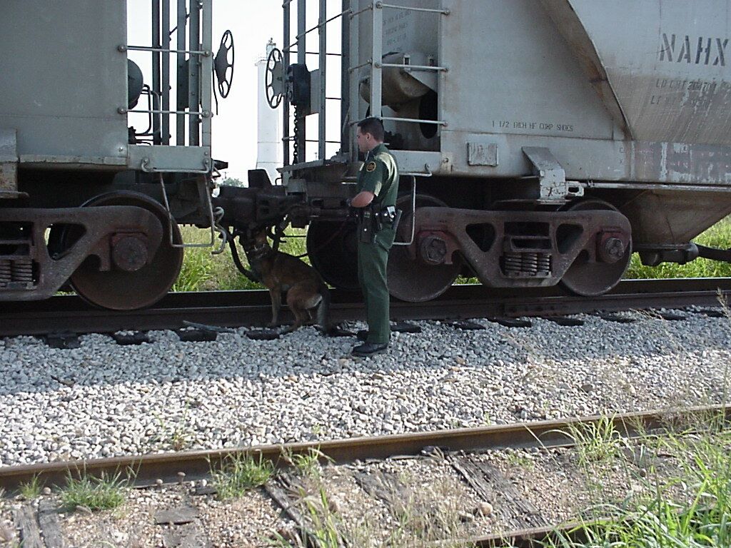 Border Patrol USBP CBP  train check
