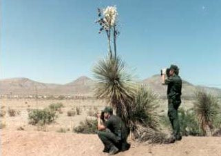 Border Patrol USBP miscellaneous modern two agents watch the desert