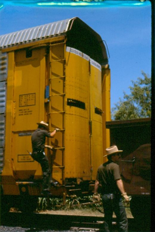 USBP Border Patrol photographs 1970-1990 an agent in a cowboy hat climbing a train