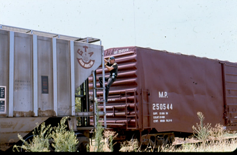 USBP Border Patrol photographs 1970-1990 an agent climbing  the side of a train
