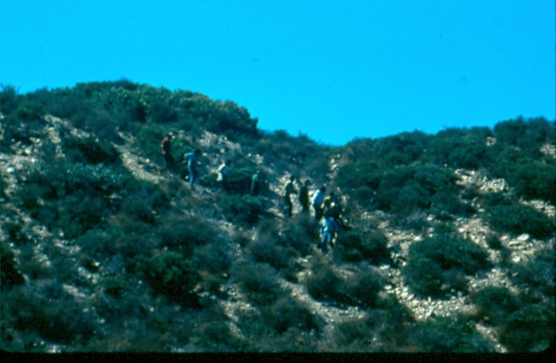 USBP Border Patrol photographs 1970-1990 aliens walking on a hillside