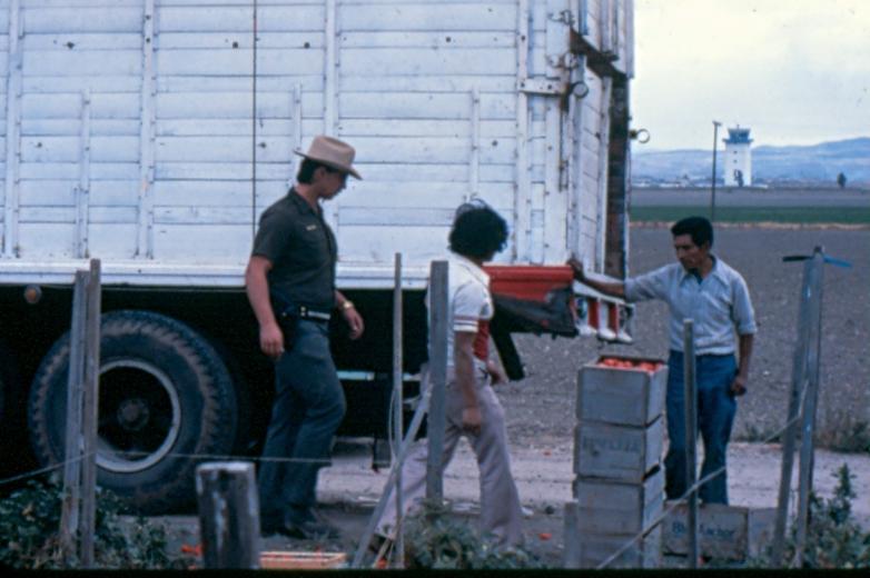 USBP Border Patrol photographs 1970-1990 agent checking two people near a truck