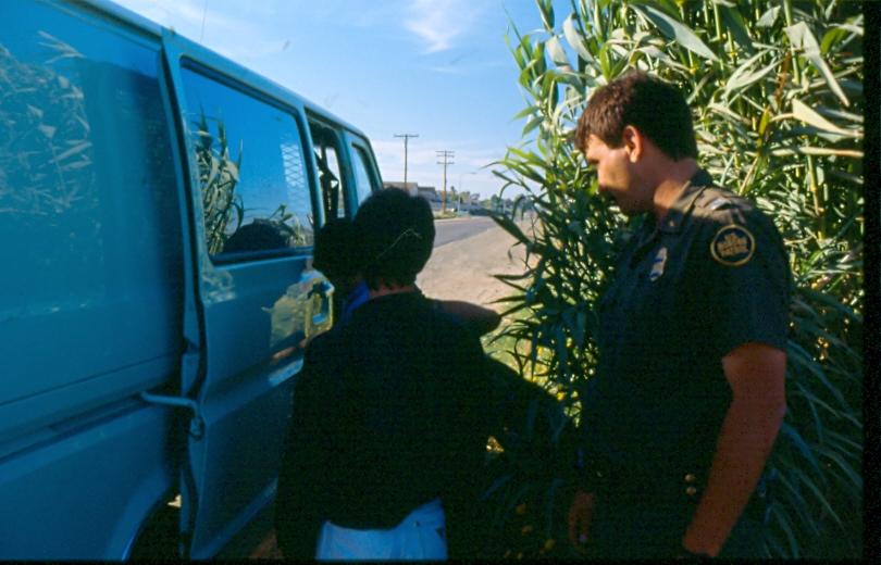 USBP Border Patrol photographs 1970-1990 agent putting arrestees in a van