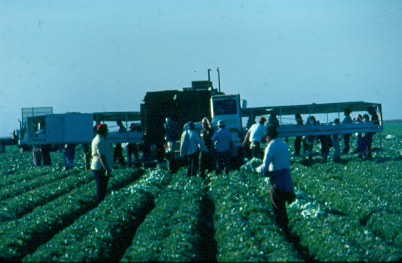 USBP Border Patrol photographs 1970-1990 agents conducting farm check