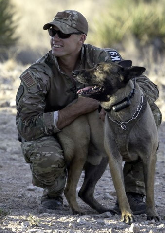 Border Patrol USBP miscellaneous modern BORTACT BORSTAR agent with canine k9
